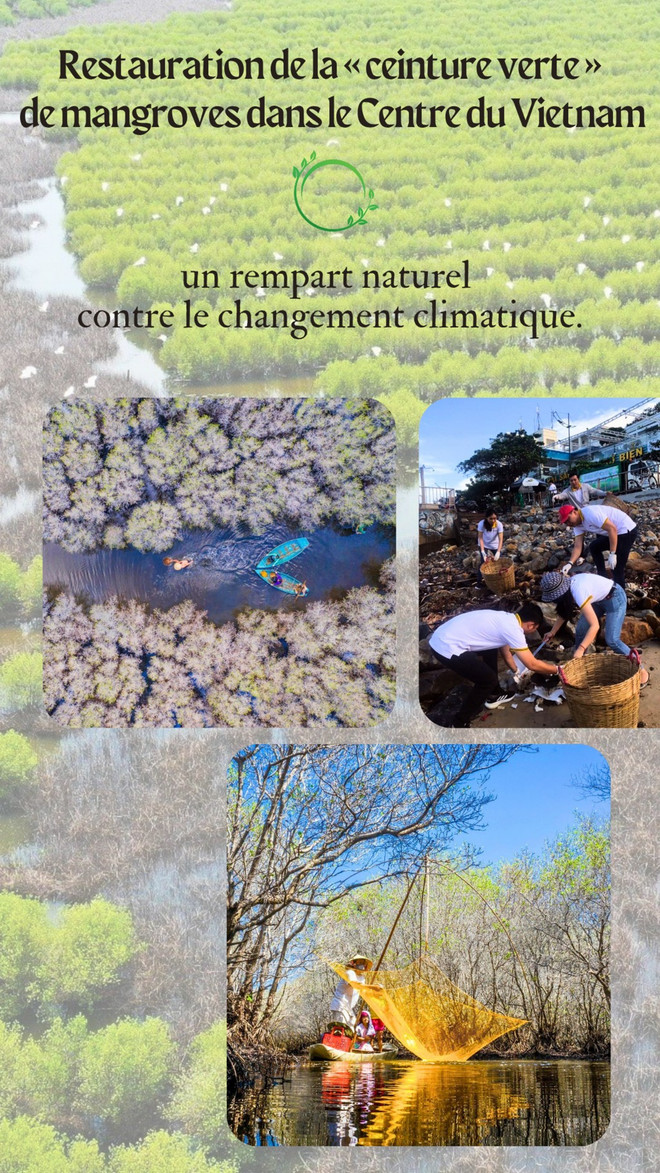 Le Vietnam s’engage aux diverses actions contre la pollution marine. Photos : VNA/CVN 153005-environment-day.png