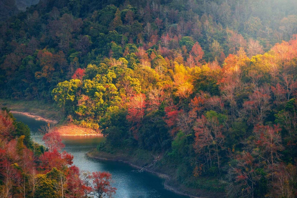 Le lac Ban Viêt n’est peut-être pas une destination très fréquentée ni très connue, mais sa tranquillité et la beauté des couleurs automnales en font une étape mémorable pour de nombreux amoureux de la nature.