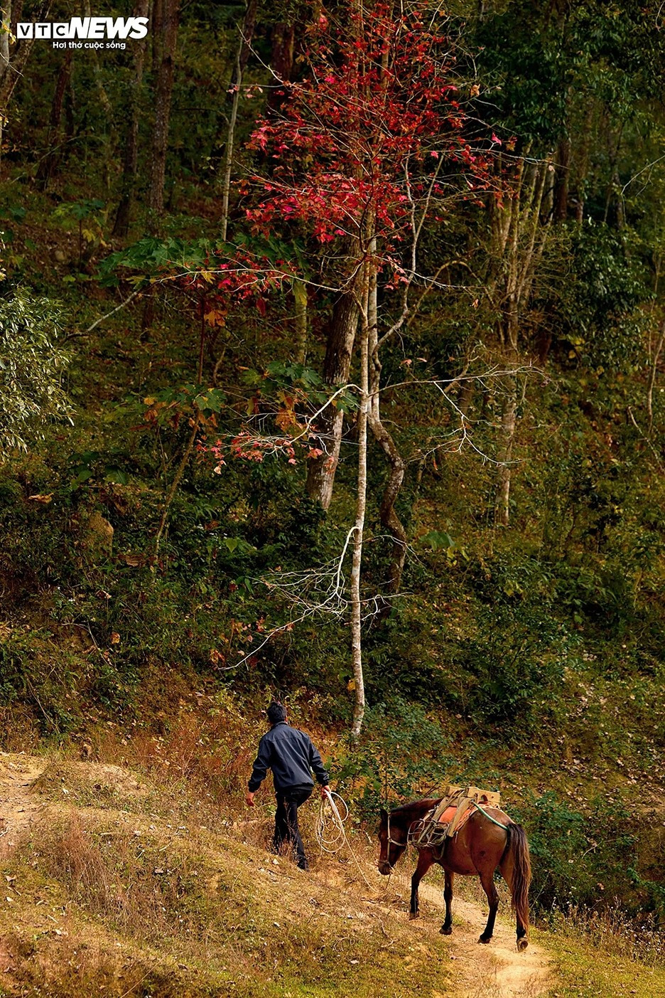 De nombreux visiteurs considèrent cette période comme la plus belle de l’année, grâce à la métamorphose spectaculaire du paysage.