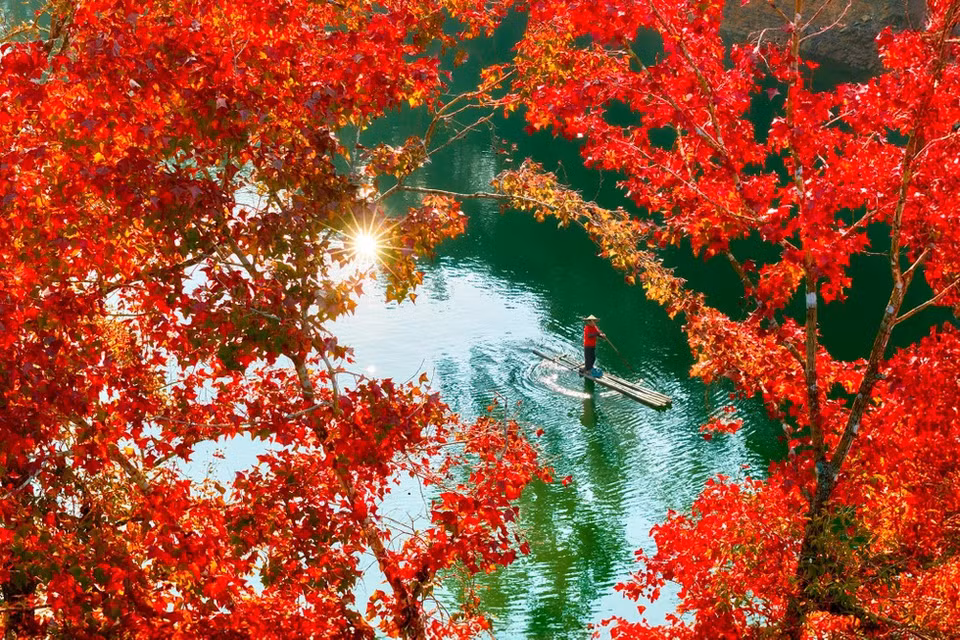 À l’approche de l’hiver, les feuilles des liquidambars passent progressivement du jaune au rouge, offrant un contraste saisissant avec la surface vert émeraude du lac et évoquant l’Europe de fin d’automne.