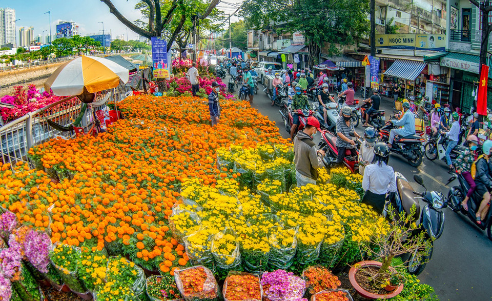 Des fleurs éclatantes recouvrent la rue Binh Dong, annonçant l'arrivée du printemps.