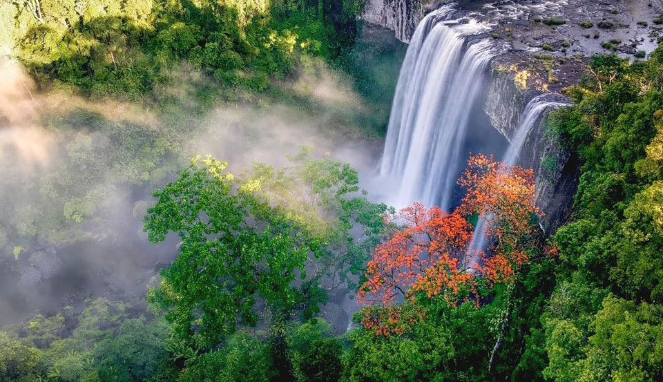 Au total, la réserve compte 20 cascades, dont 12 exploitables pour le tourisme. Chaque année, fin juillet, la floraison rouge éclatante de l’arbre « ngô đồng » près de la K50 sublime encore le paysage. Avec ses plus de 15 000 hectares de forêt vierge, Kon Chu Rang est une destination idéale pour la randonnée, l’écotourisme et l’immersion dans la nature sauvage. Photo: tcdulichtphcm.vn