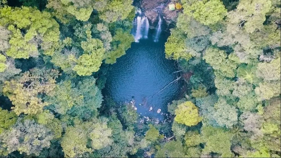 La Réserve naturelle de Kon Chu Rang est une destination à ne pas manquer de Gia Lai pour les amoureux de la nature. Elle offre une expérience immersive dans un environnement naturel préservé et une occasion unique de se connecter à la nature tout en découvrant la richesse culturelle de la région. Photo : traveloka