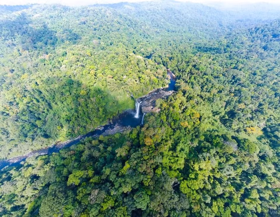 À cette valeur écologique s’ajoute le patrimoine culturel immatériel de l’espace des gongs du Tây Nguyên, également classé par l’UNESCO, qui fait de Kon Chu Rang un lieu unique où nature et culture se combinent.
