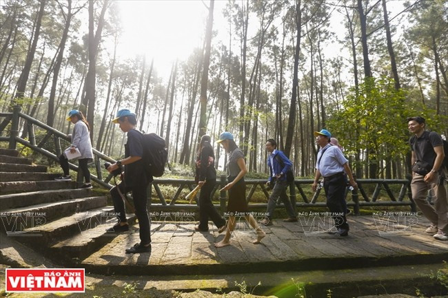 Chemin menant à la tombe de Hoàng Thi Loan, la mère du président Hô Chi Minh. Dans le cadre du site en mémoire du président Hô Chi Minh, les visiteurs peuvent aussi découvrir la montagne Dông Tranh, qui abrite les tombes de sa grand-mère paternelle et de sa mère. Elles ont la forme d’une fleur de lotus géante. La voûte est inspirée de la forme d’un métier à tisser et d’une bande de soie. Un grand relief, taillé dans de la pierre avec différents motifs représentant la Mère héroïne vietnamienne, les nuages et le marais de lotus, a été installé derrière les tombes. Photo: VNP