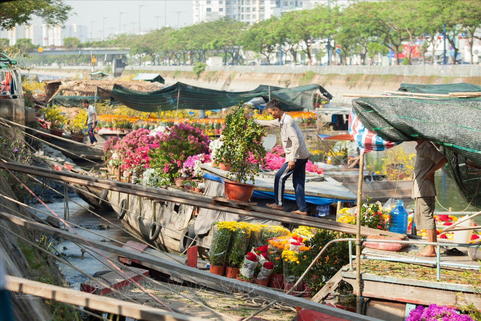 Des centaines d’embarcations, venues des provinces du delta du Mékong et chargées de fleurs destinées au Têt, s’y succèdent, offrant un spectacle vivant qui rappelle la tradition fluviale du Sud tout en s’inscrivant dans un paysage urbain moderne.