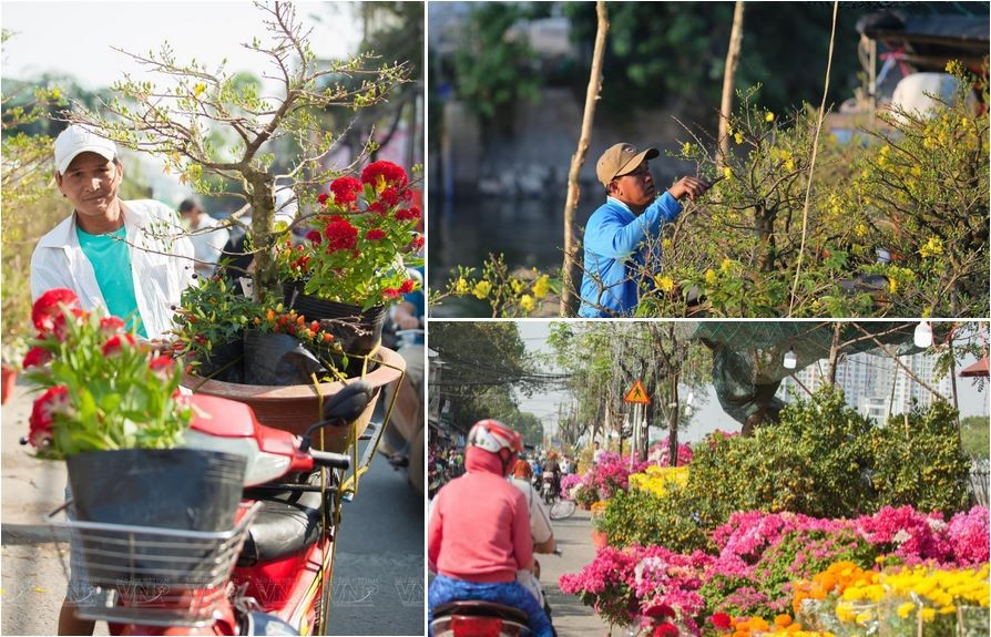 La découverte des espaces floraux printaniers de Hô Chi Minh-Ville offre ainsi l’occasion d’admirer une profusion de fleurs et de plantes remarquables, tout en ressentant le rythme effervescent de la métropole et l’harmonie entre traditions ancestrales et modernité urbaine. Le tourisme floral printanier s’impose dès lors comme un atout majeur pour la ville, contribuant à la préservation des traditions du Nouvel An lunaire et au renforcement de son attractivité touristique saisonnière.