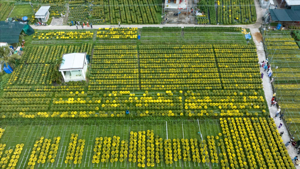 Sa Dec, surnommé le « pays des mille fleurs », affiche une histoire de développement remontant à plus d’un siècle.