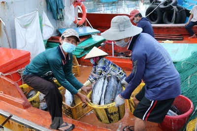 Mobilisation des ressources pour supprimer le "carton jaune" sur la pêche INN
