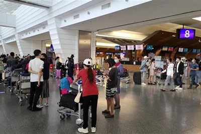 COVID-19 : rapatriement de 230 citoyens vietnamiens de Taiwan (Chine)