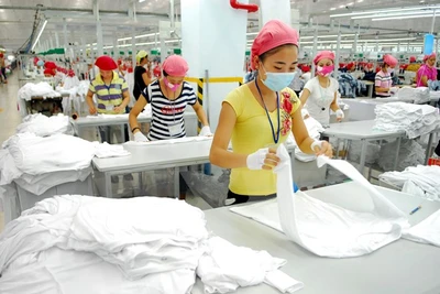 TPP : Belles perspectives commerciales Vietnam-Australie 