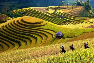 Semaine culturelle et touristique des rizières en terrasses de Mù Cang Chai 