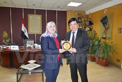 Vietnam-Egypte promeuvent leur coopération dans la radiodiffusion 