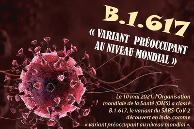 B.1.617 - « variant préoccupant au niveau mondial »