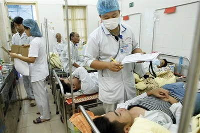 L’épidémie de dengue progresse,  la lutte s’intensifie