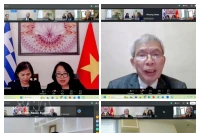 Réunion en ligne entre la Fédération des industries de Grèce et l'Association vietnamienne du bois et des produits forestiers (Viforest). Photo: VNA