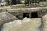 Des projets d’ouvrages hydrauliques financés par l’APD et des prêts concessionnels améliorent l’efficacité de la production agricole dans le sud de la province de Khanh Hoa. Photo : VNA