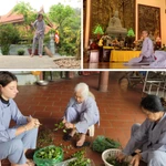 Retraite de méditation au Vietnam : immersion au monastère Trúc Lâm Tây Thiên