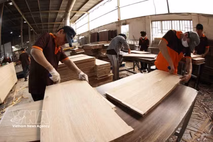 Production de panneaux MDF destinés à l'exportation vers les marchés américain, australien et thaïlandais à la société Hai Duong MDF Construction and Production Co., Ltd., située dans la province de Binh Duong. Photo: VNA
