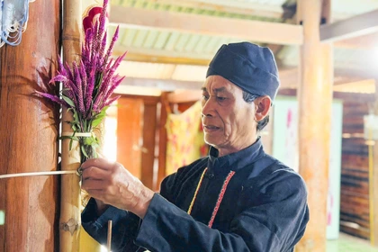 Les Công à la frontière de Nâm Ke célèbrent la fête du fleur de crête de coq