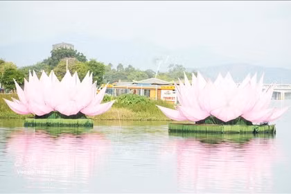 Deux des sept fleurs de lotus destinées aux célébrations du Vesak 2570 du calendrier bouddhique ont été mises à l’eau sur la rivière des Parfums, à Huê. Photo : VNA