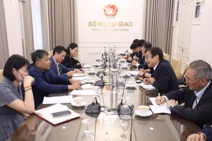 Panorama de la séance de travail. Photo : ministère des Affaires étrangères du Vietnam