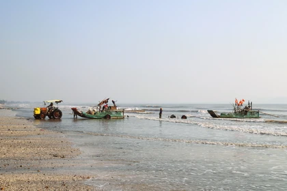 Nghê An : la haute saison du crabe stimule l’économie locale