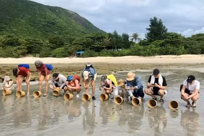 Des touristes étrangers participent avec enthousiasme à une excursion de remise à la mer de bébés tortues à Côn Dao, à Hô Chi Minh-Ville. Photo : sggp.org.jpg