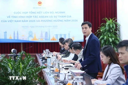 Le vice-ministre des Affaires étrangères et chef du SOM ASEAN-Vietnam, Dang Hoàng Giang s'exprime. Photo: VNA
