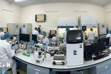 Laboratoire de biotechnologie de l'Université internationale relevant de l'Université nationale à Hô Chi Minh-Ville. Photo : VNA