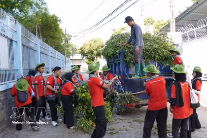 Des étudiants bénévoles malaisiens ramassent des branches d'arbres et participent à une opération de nettoyage de l'environnement dans le quartier de Trung My Tay. Photo : VNA