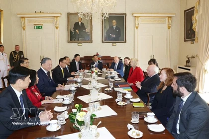 Entretien entre le secrétaire général du Parti communiste du Vietnam et président vietnamien, To Lam, et le président irlandais, Michael Higgins, à Dublin, le 2 octobre 2024. Photo : VNA