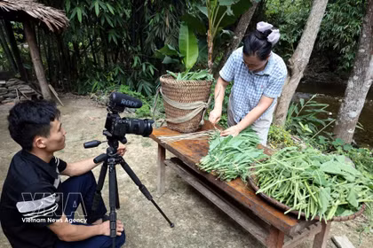 Lam Binh édifie un « Village de création de contenu numérique » associé au développement du tourisme