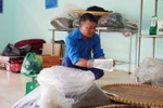 Sung A Pang, directeur de la coopérative Xin Chai (commune de Khong Lao), emballe le thé fini. Photo : https://baolaichau.vn/