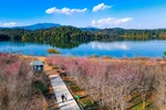 Le tourisme vietnamien transforme les opportunités en atouts