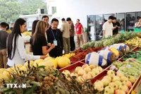De nombreux fruits vietnamiens, comme le durian et le fruit de la passion, sont exposés et proposés à la vente au poste-frontière international de Huu Nghi (Chine). Photo : VNA