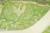 Ninh Binh : Une rizière transformée en œuvre d'art pour la Semaine du tourisme