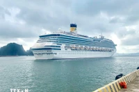 Depuis le début de l’année 2025, le port international de Ha Long a reçu 44 paquebots internationaux, transportant 56 647 visiteurs. Photo: VNA