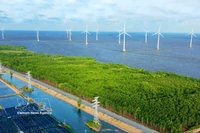 Parc éolien de Ca Mau. Photo: VNA