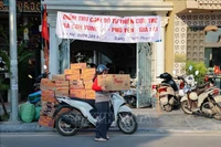 Ces derniers jours, les points de collecte de dons à Hanoï ont enregistré un afflux continu de biens de première nécessité et de contributions financières destinés à aider les provinces du Centre frappées par les inondations. Photo: VNA