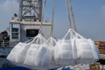 Les exportations de riz du Vietnam devraient dépasser les 8,2 millions de tonnes. Photo: VNA