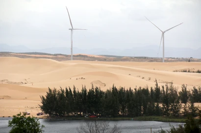 Découvrez Bàu Trắng : une oasis au coeur du "Sahara miniature" du Vietnam 