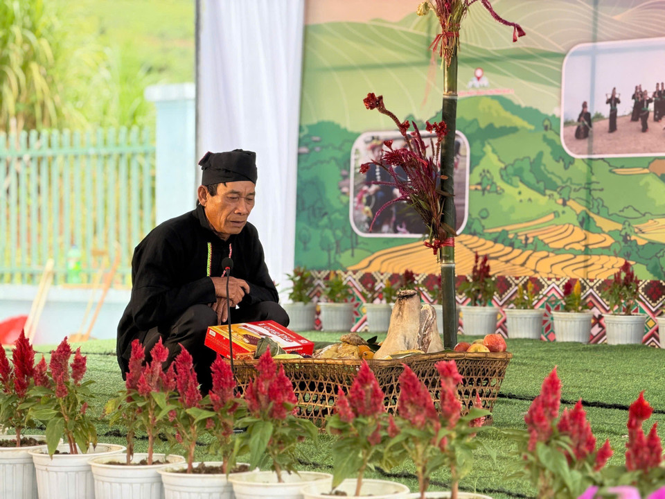 La fleur de crête de coq est le symbole du Nouvel An traditionnel des Công.