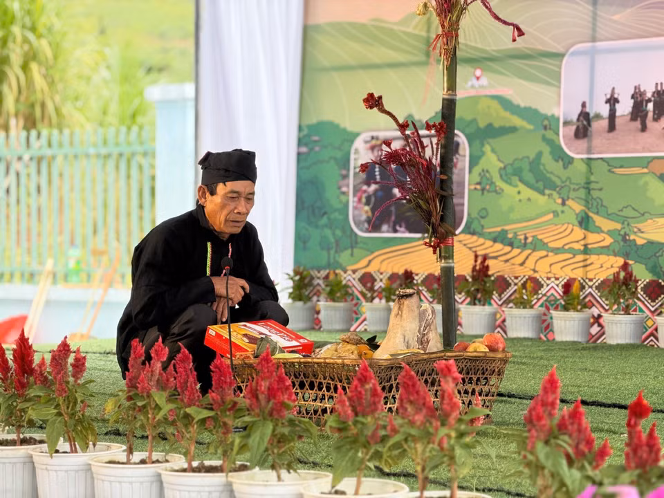 La fleur de crête de coq est le symbole du Nouvel An traditionnel des Công.
