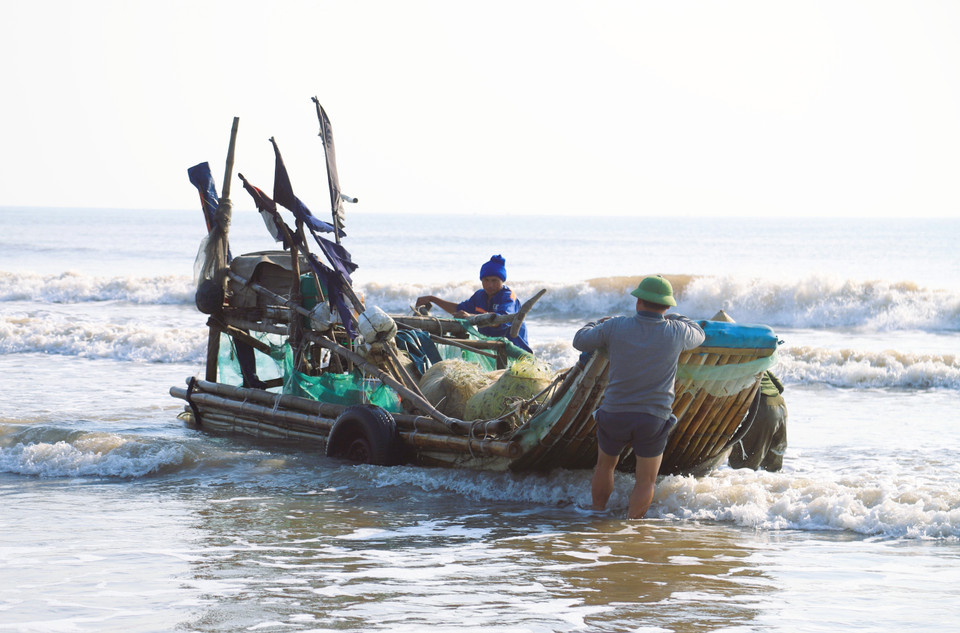 À leur arrivée, les pêcheurs ajustent les embarcations sur un système de rouleaux avant de les hisser à terre à l’aide d’un tracteur.