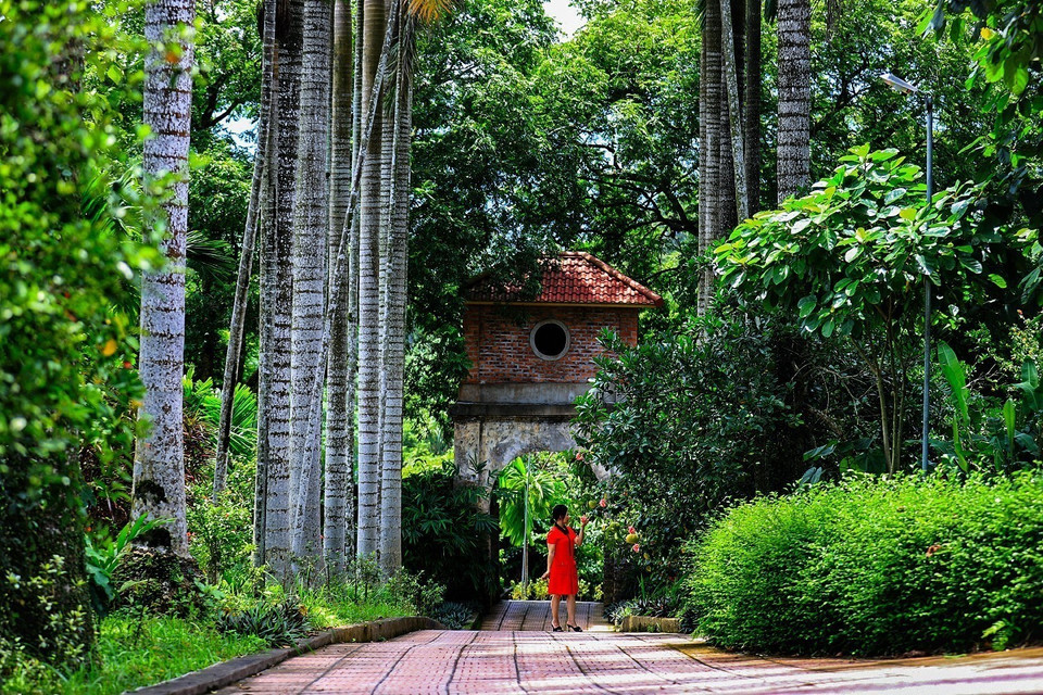 L'espace vert dans la famille Dinh Cong à Muong Coi, commune de Luong Son, province de Phu Tho. Photo: VNA