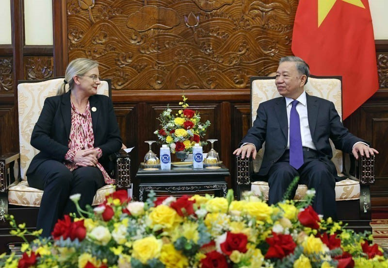 Le président Tô Lâm reçoit l'ambassadrice de Suède au Vietnam, Ann Mawe, venue prendre congé au terme de son mandat au Vietnam, le 18 juin 2024.