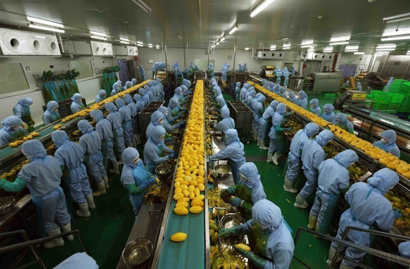 L'usine agro-alimentaire de la Sarl B'LaoFood, située dans le parc industriel de Lôc Son, à Bao Lôc, est la plus grande usine de la province de Lâm Dông. Sa chaîne de production est équipée de machines et technologies suédoises.