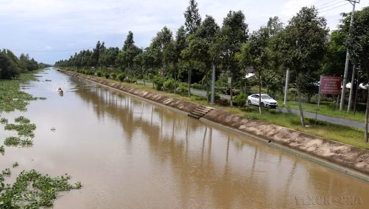 Digue de protection contre l'érosion des berges de la rivière Lô Moi, dans le district de Giông Riêng, province de Kiên Giang. Photo : Lê Huy Hai - VNA