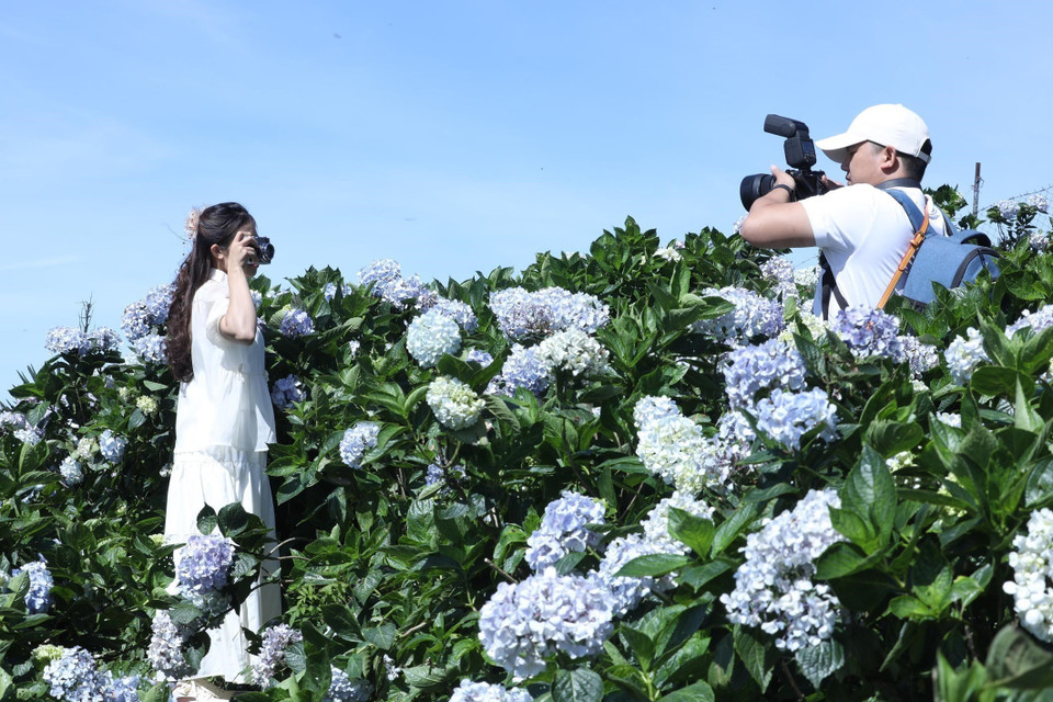 Des jeunes prennent des photos souvenirs. Photo : Anh Tuan - VNA